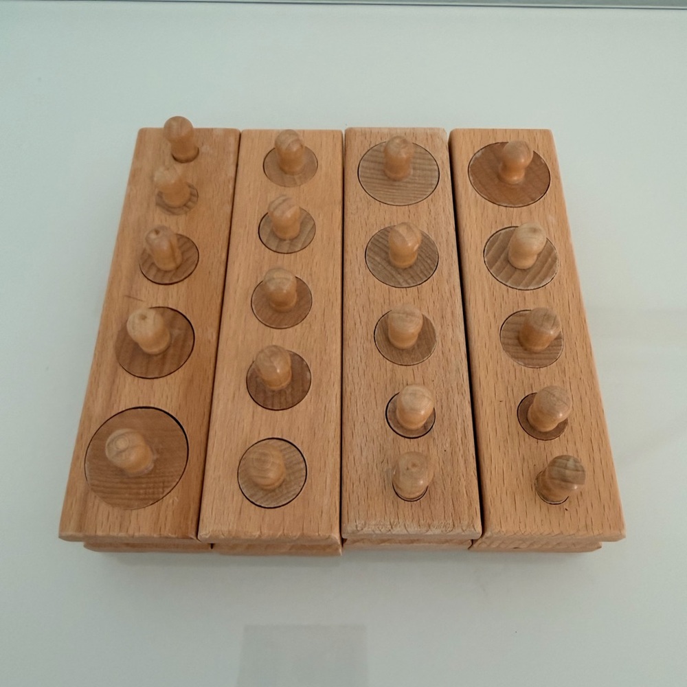 Wooden Montessori Cylinder Blocks Puzzle Educational Toy to teach depth math